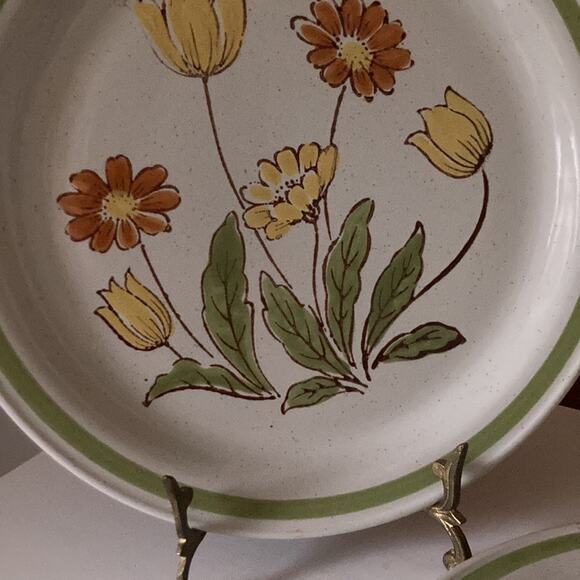 Vintage Country Casual “Sunnyvale” Dinner Plates, Set of 2 - Picture 4 of 7